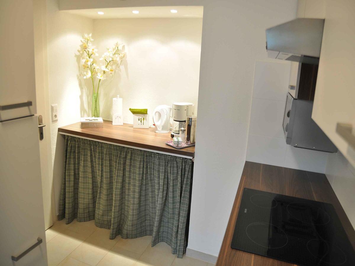 Apartment Mida Fryburg Bryzgowijski Zewnętrze zdjęcie