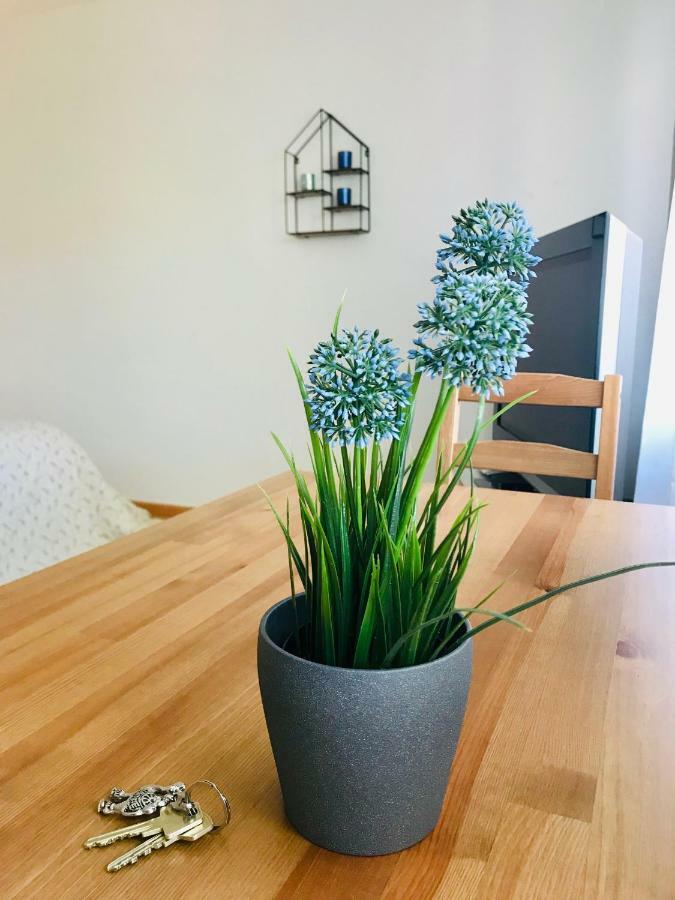 Apartment Mida Fryburg Bryzgowijski Zewnętrze zdjęcie