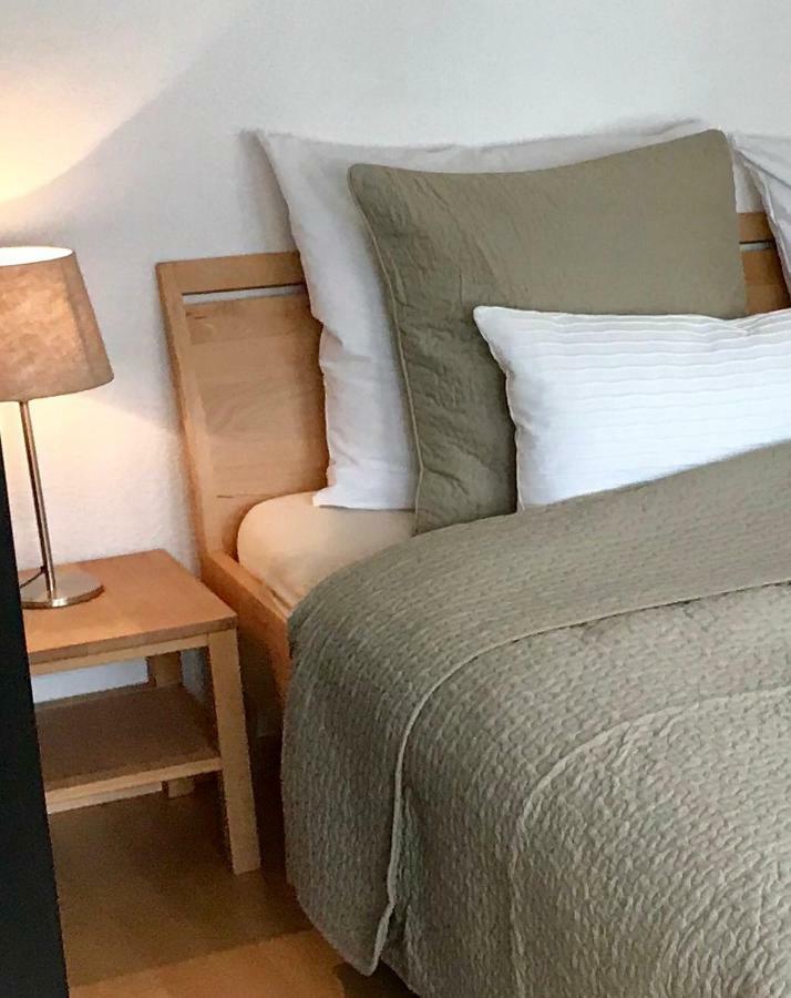 Apartment Mida Fryburg Bryzgowijski Zewnętrze zdjęcie
